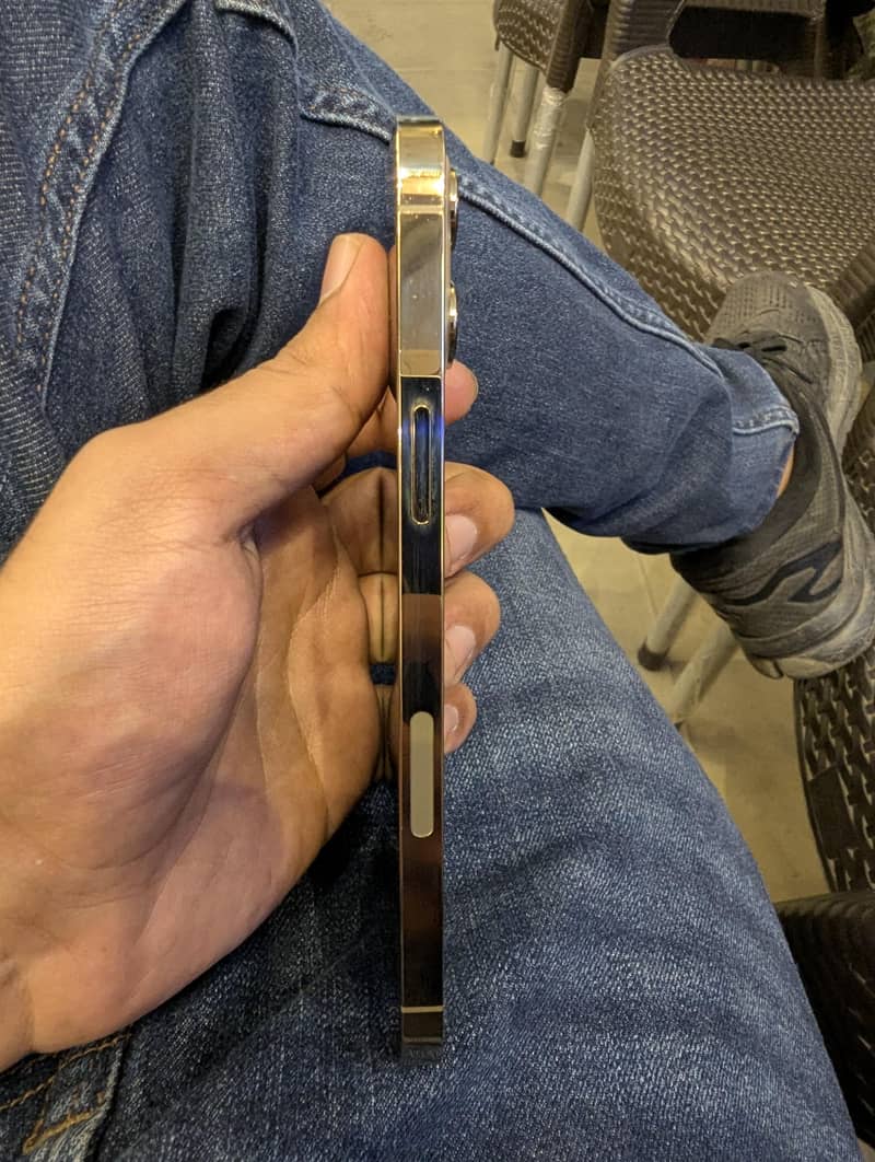 Apple iPhone 12 Pro Max 1