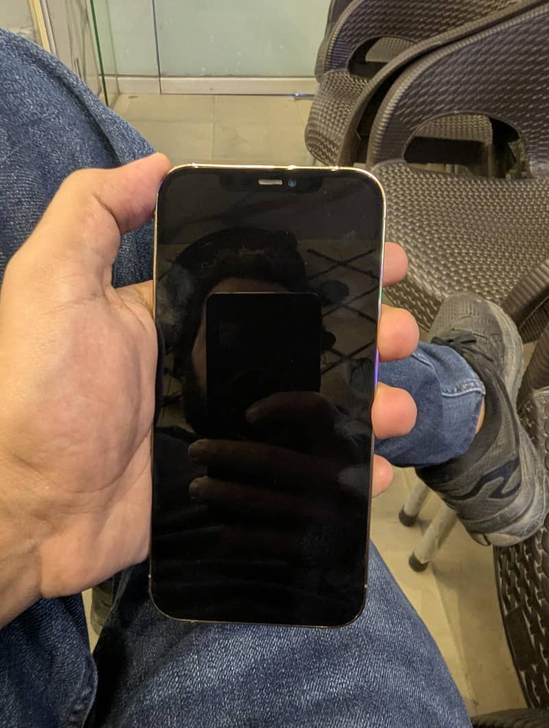 Apple iPhone 12 Pro Max 2