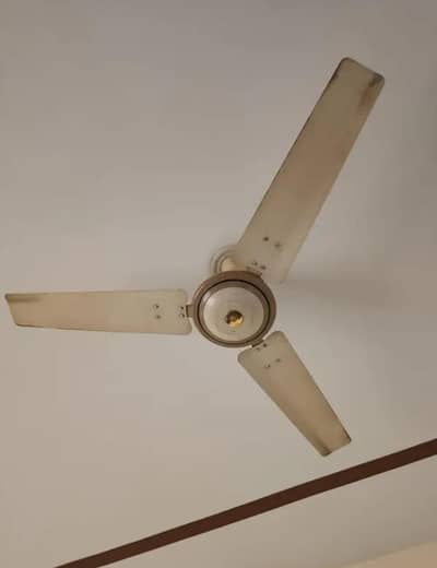 Used Fan