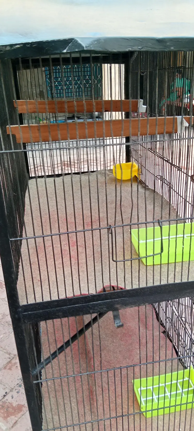 strong cage available for raw,ring neck , budgies, finches,cats etc — photo 2