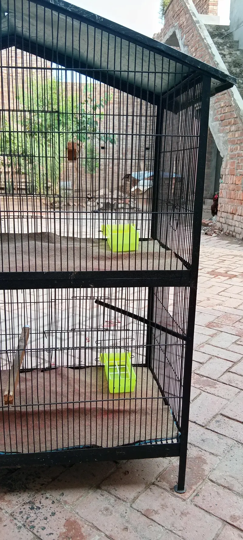 strong cage available for raw,ring neck , budgies, finches,cats etc — photo 3
