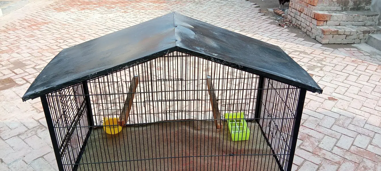 strong cage available for raw,ring neck , budgies, finches,cats etc — photo 4