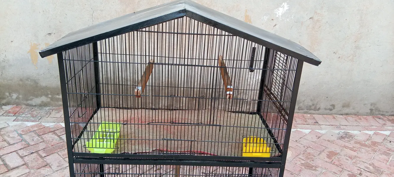 strong cage available for raw,ring neck , budgies, finches,cats etc — photo 6