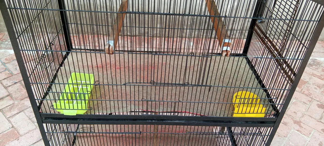 strong cage available for raw,ring neck , budgies, finches,cats etc — photo 7