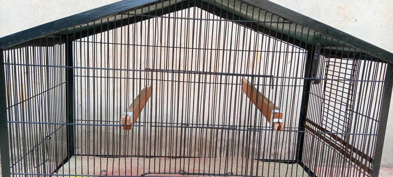 strong cage available for raw,ring neck , budgies, finches,cats etc — photo 8