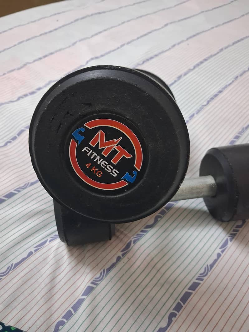 Dumbbell 2
