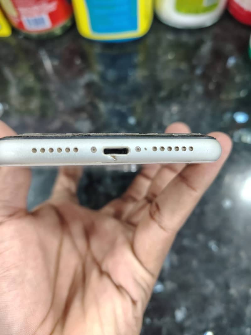 Apple iPhone 11 3