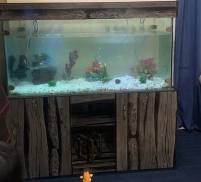 Solid aquarium