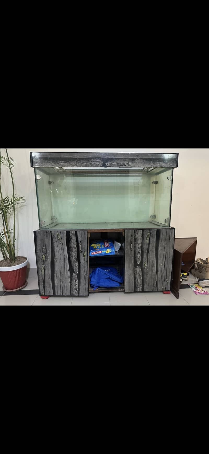 Solid aquarium 2