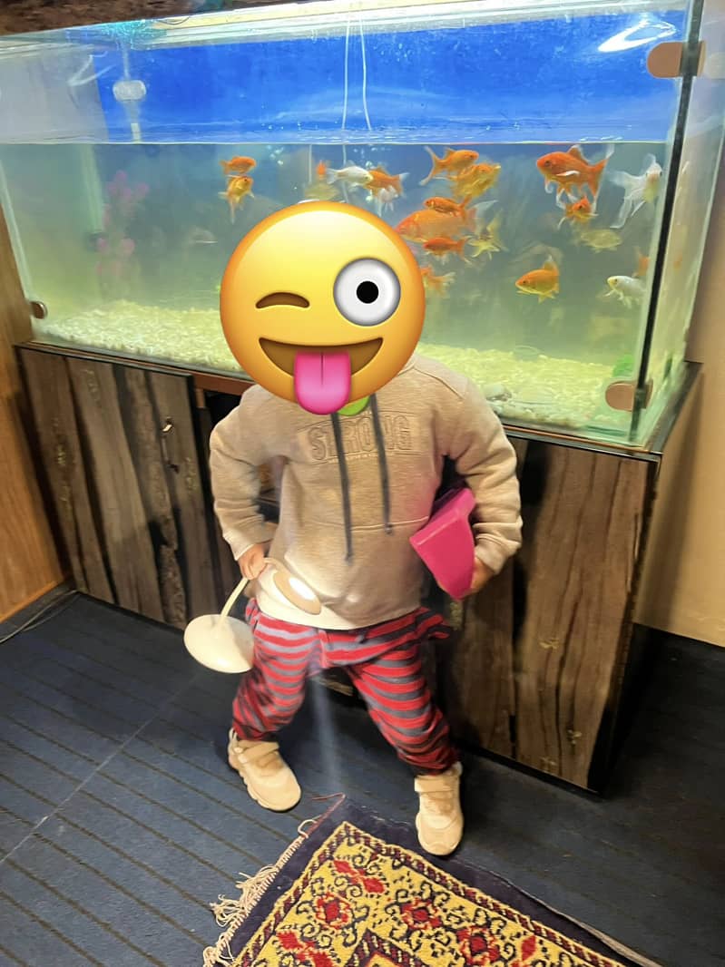 Solid aquarium 4