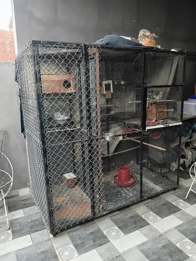 bird cage for sale very strong and good