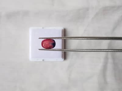 Natural 1.85ct Bicolor Ruby Mozambique