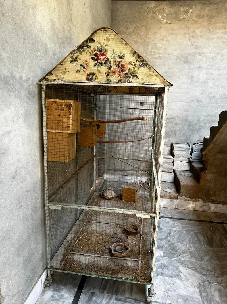 big size birds cage colony — photo 3