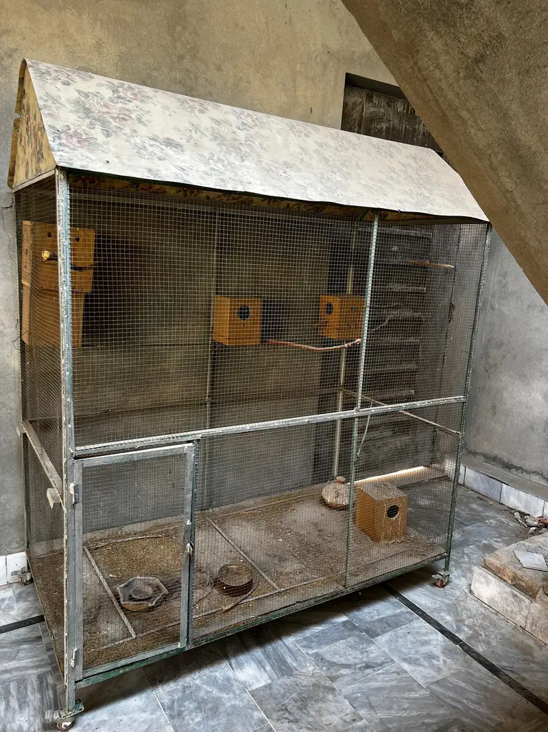 big size birds cage colony — photo 4