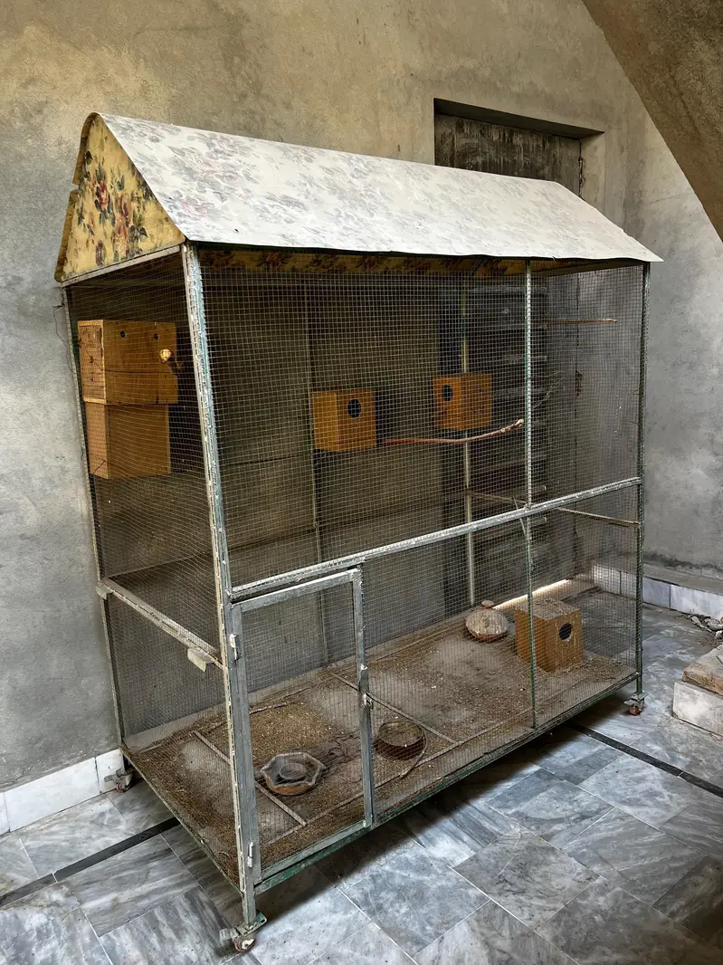 big size birds cage colony — photo 5