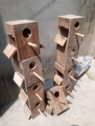 lovebird kikar wud duble door boxes