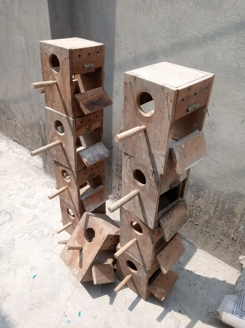lovebird kikar wud duble door boxes — photo 2