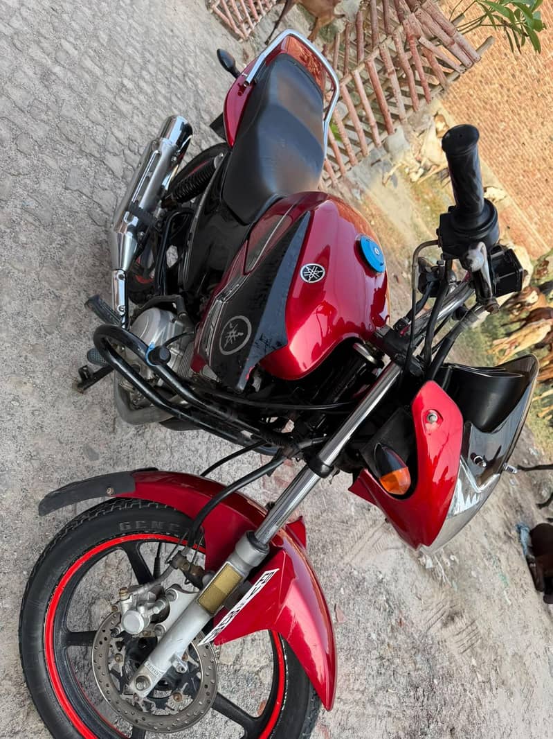 ybr125 1