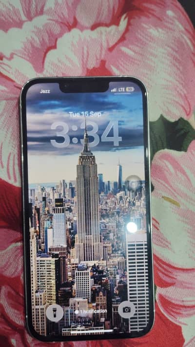 iPhone 13 Pro