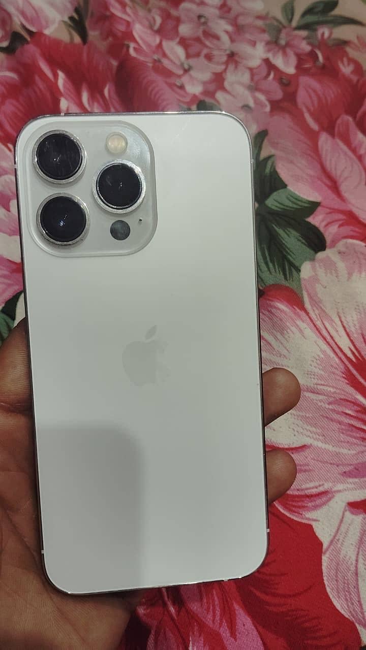 iPhone 13 Pro 1