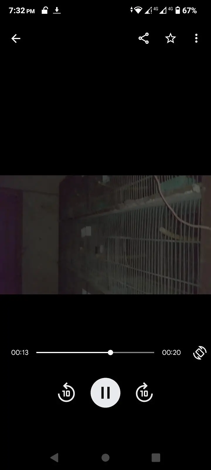 birds cage — photo 4
