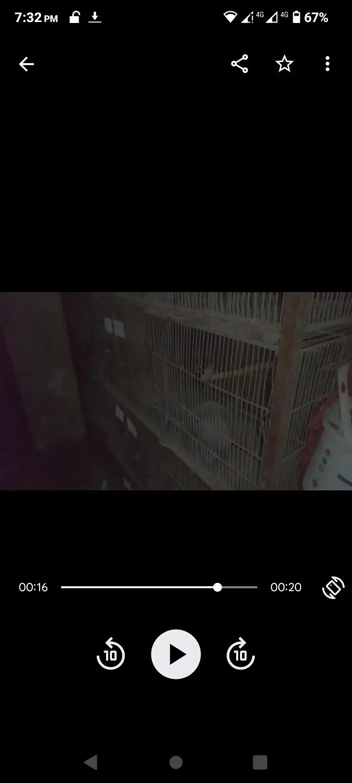 birds cage — photo 5