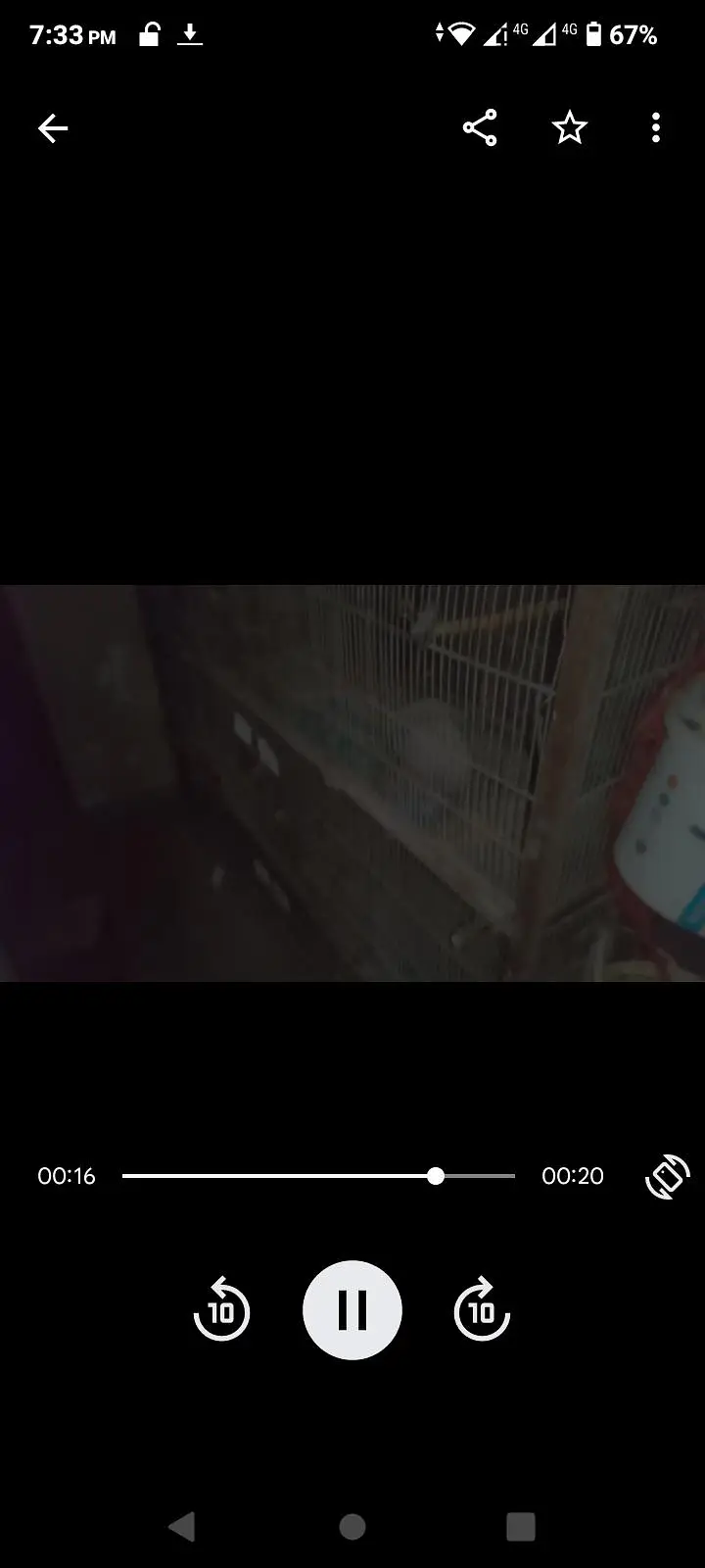 birds cage — photo 6