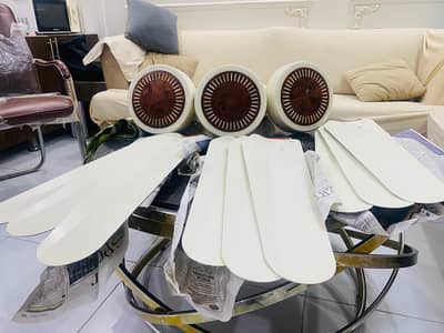 Branded Fans with 10/10 condition