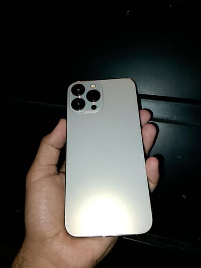Apple iPhone 13 Pro Max