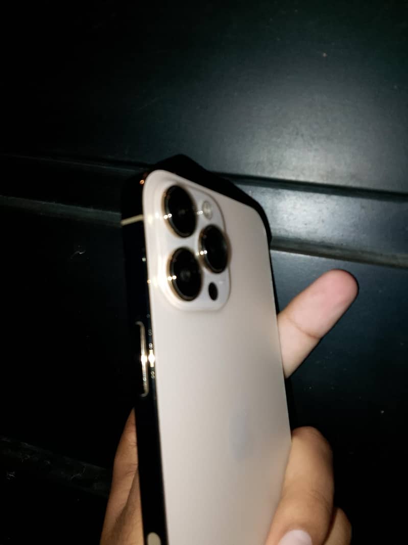Apple iPhone 13 Pro Max 1