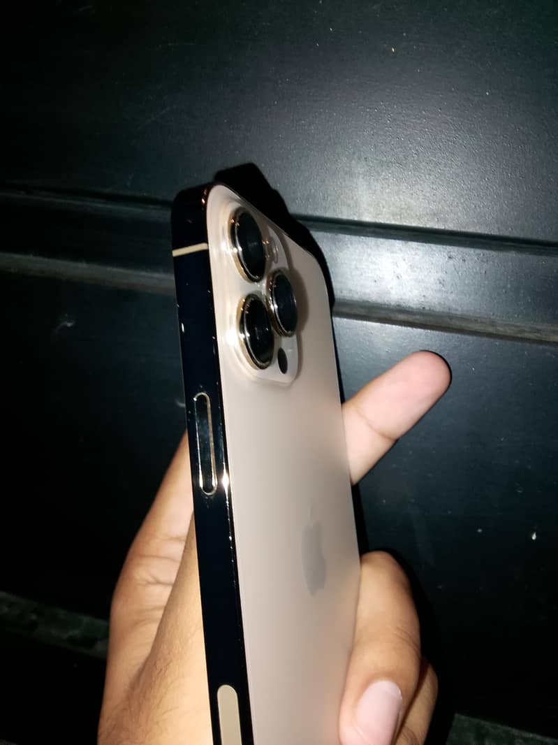 Apple iPhone 13 Pro Max 5