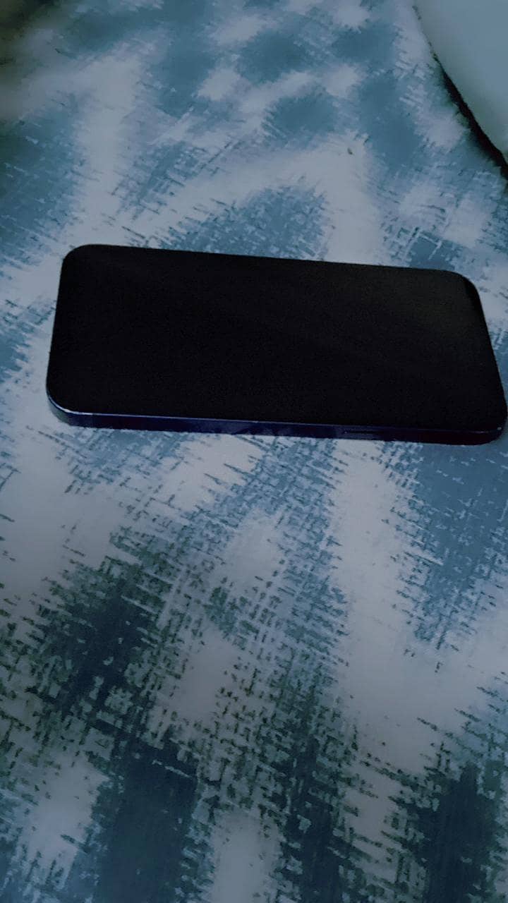 Apple iPhone 12 1