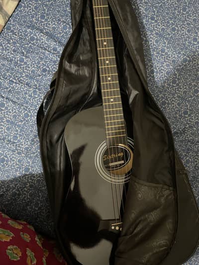 Guitar with all accessories