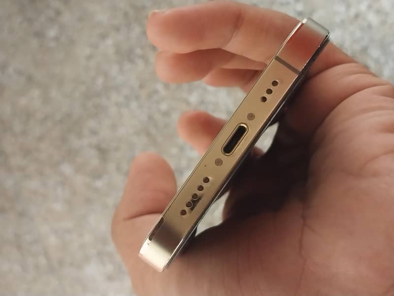 iPhone 12 Pro 1