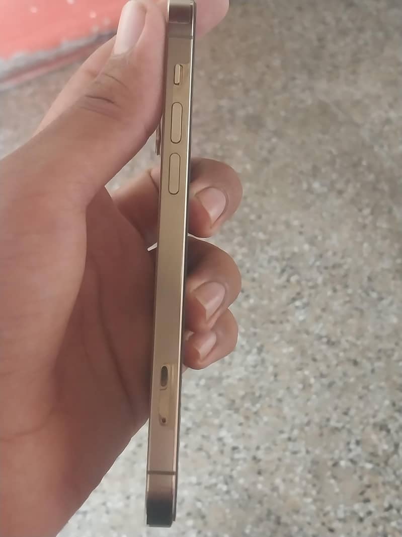 iPhone 12 Pro 2