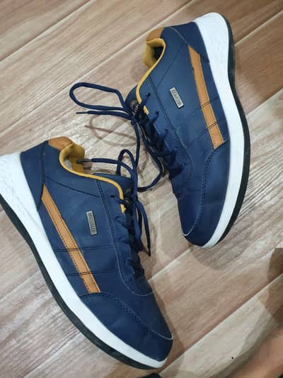 Dark Blue branded  shoes