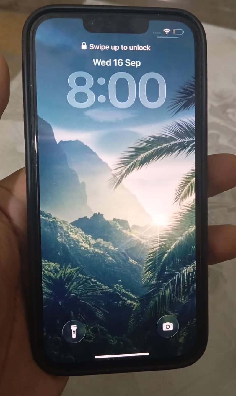 Apple iPhone 13 0