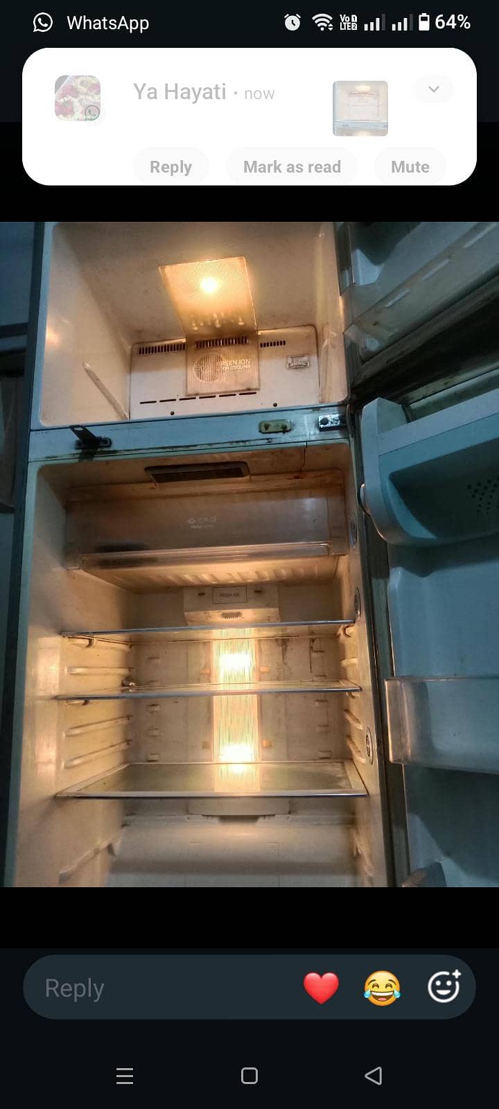 fridge 4