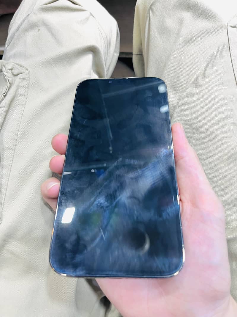 Apple iPhone 13 Pro Max 1
