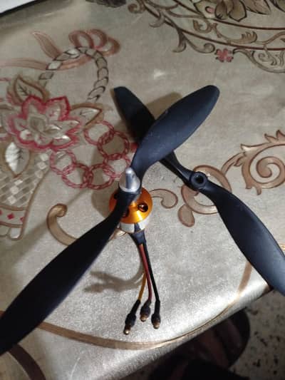 blds brushless motor