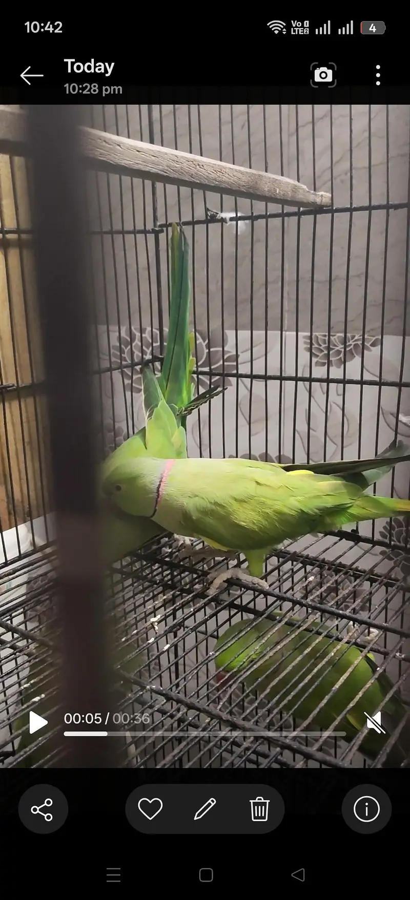 cages for sale — photo 2