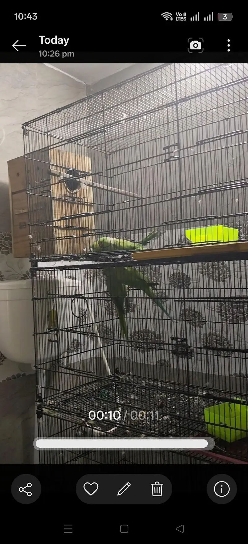 cages for sale — photo 6