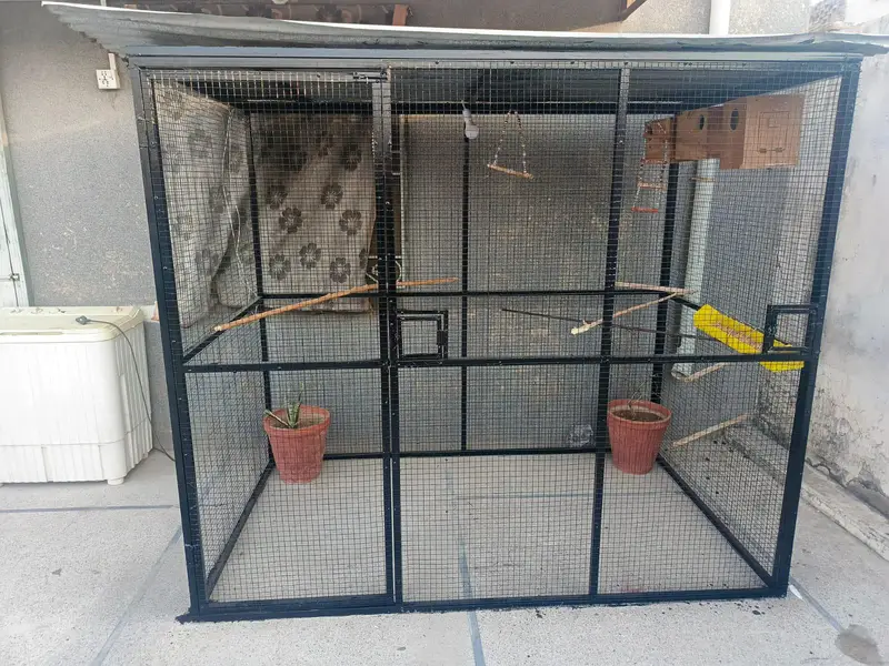 birds or hen cage — photo 3