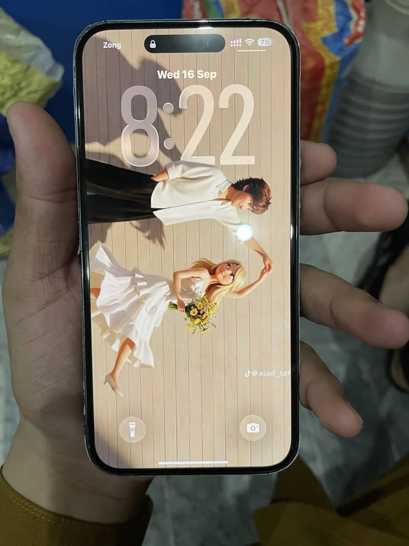 Apple iPhone 14 Pro Max 3