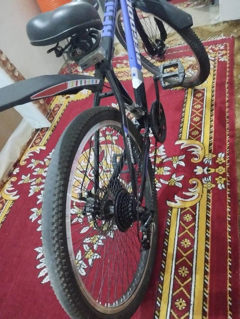 BEGOOD Bicycle 1