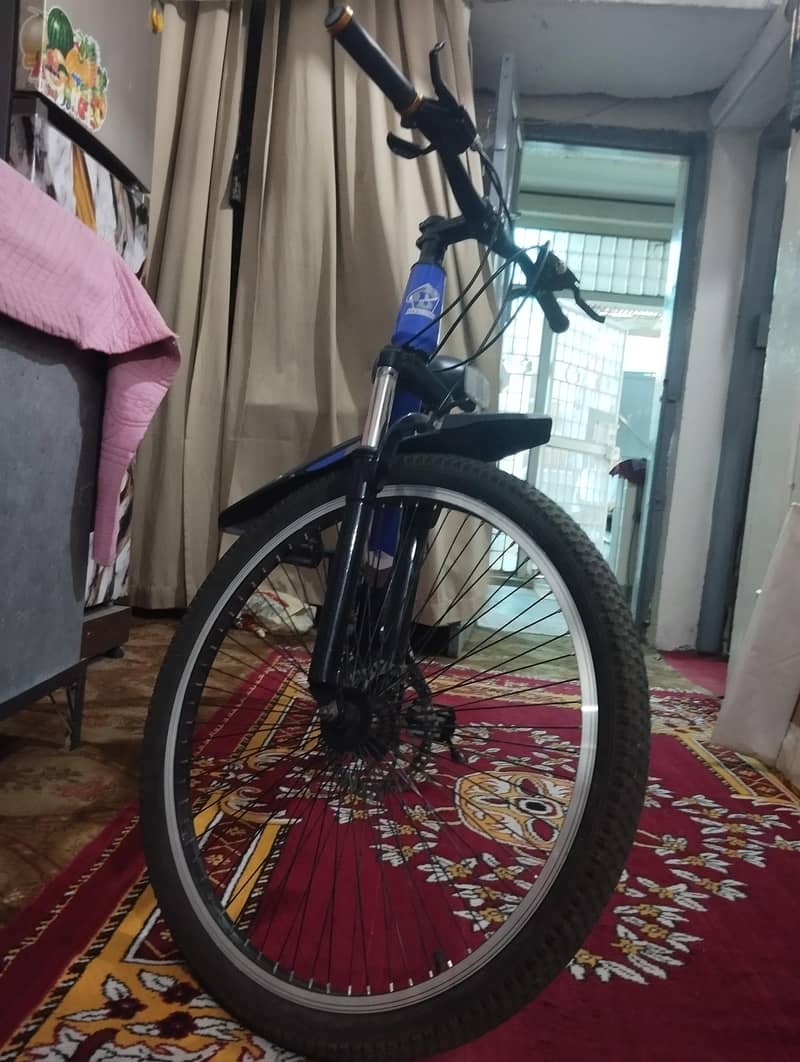 BEGOOD Bicycle 3