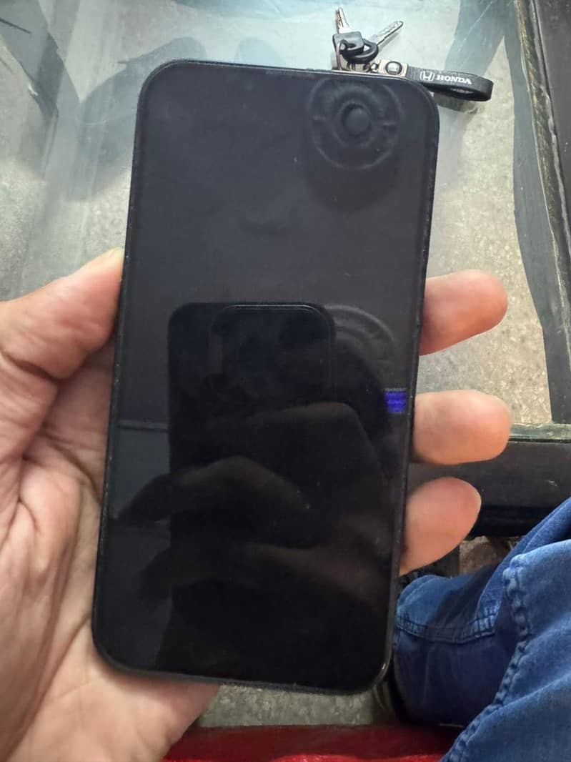 Apple iPhone 13 0