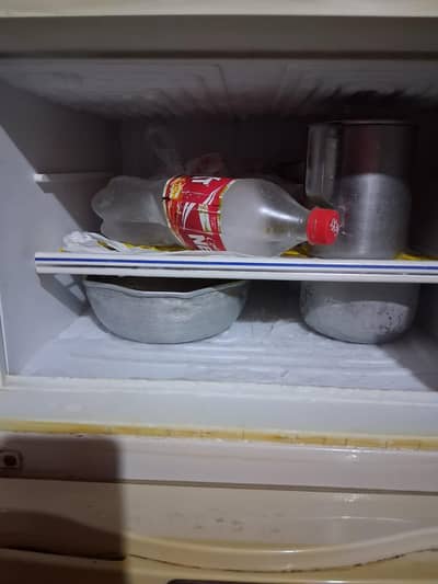 dfreezer he halllat good hay