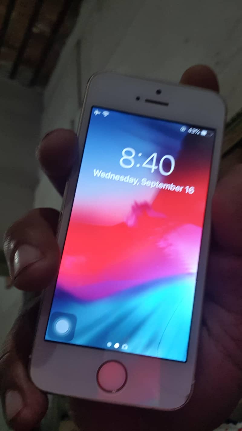 Apple iPhone 5s 1