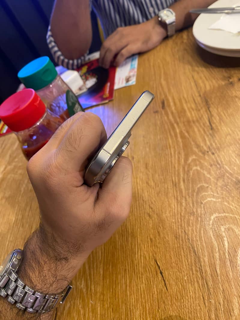 Apple iPhone 16 Pro Max 1